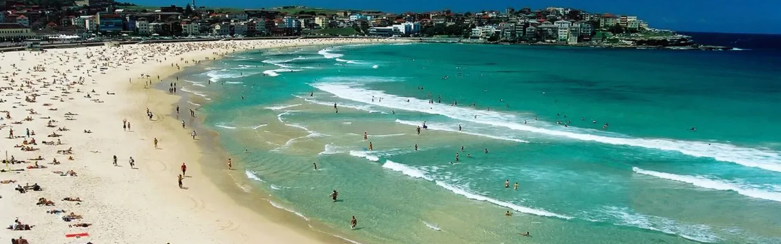 The Ultimate Guide to the Best Beaches in Sydney Australia